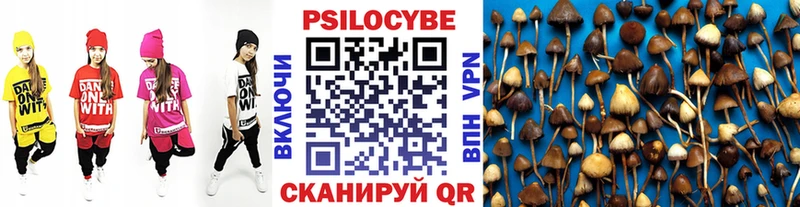 Псилоцибиновые грибы прущие грибы  Октябрьский 